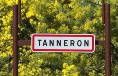 route du mimosa vers Tanneron